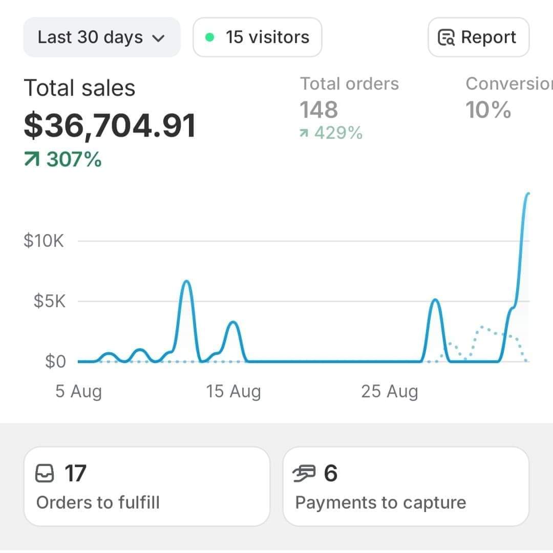 Arvantas Shopify sales dashboard showing total sales, orders and conversion rate